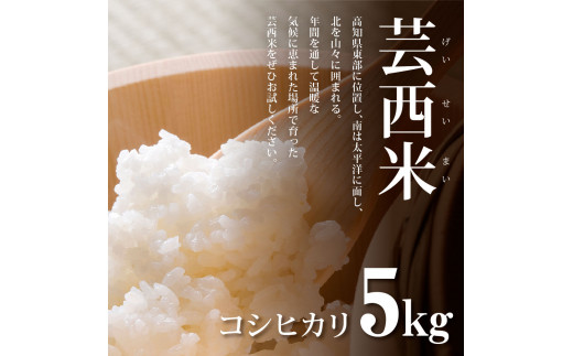高知県芸西村のふるさと納税 KNK012-R7　新米 コシヒカリ 5kg 芸西米 げいせいまい 令和7年産 5キロ 米 こめ コメ こしひかり 精米 白米 お米 おこめ ご飯 弁当 おにぎり もっちり 国産 通販 お取り寄せ 送料無料