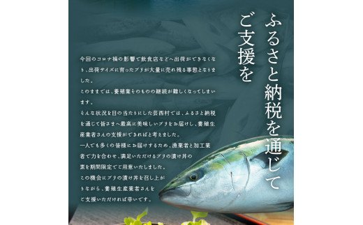 KYF120　海鮮「ブリの漬け丼の素」1食80g×5P＋「訳ありカツオのたたき」600g以上《迷子のブリを食べて応援 養殖生産業者応援プロジェクト》／「ブリの漬け丼の素」と人気「訳ありカツオのたたき」緊急支援 惣菜 そうざい〈高知市共通返礼品〉