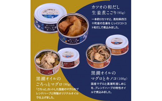 RHT023　グルメ缶詰12缶セット〈黒潮町共通返礼品〉防災 故郷納税 缶詰 食べくらべ 詰め合わせ 魚 国産