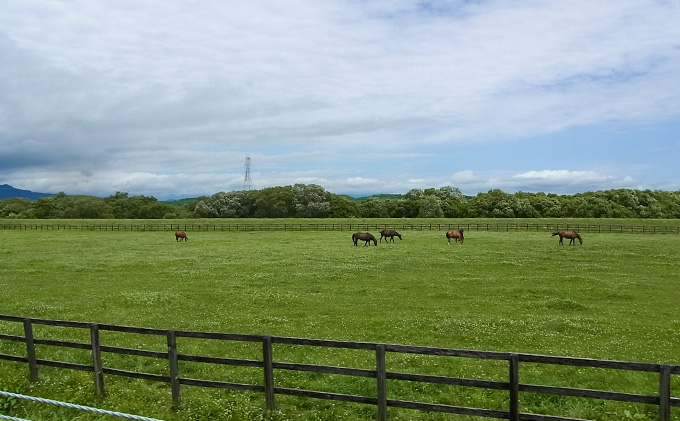 【国産純粋蜂蜜】北海道産 クローバー蜂蜜 1kg ビン入り［ナルセ養蜂場］【 はちみつ ハチミツ 蜂蜜 ハニー 無添加 天然 健康 美容 料理 無添加 純粋 希少 大容量 ギフト プレゼント 自宅用 家庭用 北海道 十勝 幕別 】
