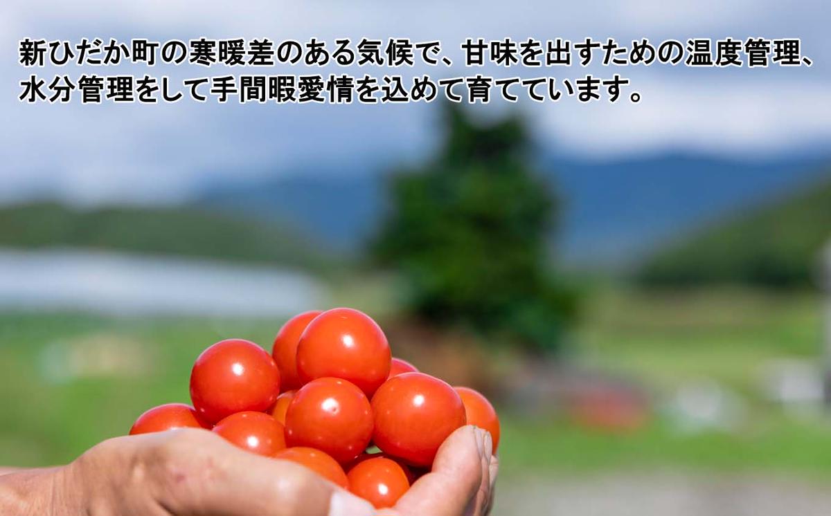 ＜ 2026年8月上旬より発送 ＞ 北海道産 カラフルトマト ミニトマト 1kg  ＃にじいろとまと ＜ 予約受付 ＞