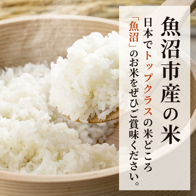新潟県魚沼市のふるさと納税 令和6年産 無洗米 お米マイスター厳選 魚沼産 コシヒカリ 100％ 3kg ( 米 お米 こめ コメ おこめ 白米 こしひかり ) 新潟県