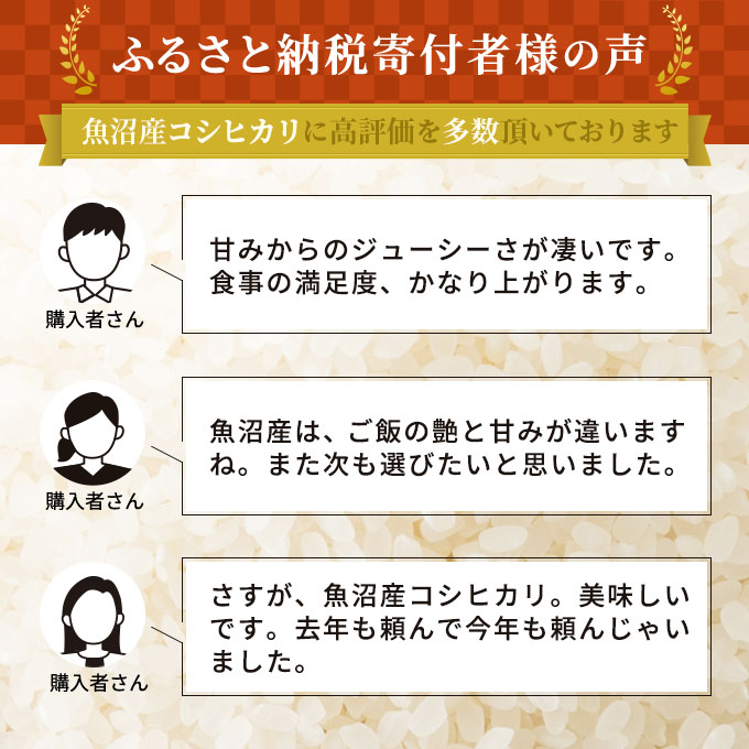 新潟県魚沼市のふるさと納税 令和6年産 無洗米 お米マイスター厳選 魚沼産 コシヒカリ 100％ 3kg ( 米 お米 こめ コメ おこめ 白米 こしひかり ) 新潟県