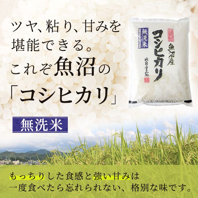 新潟県魚沼市のふるさと納税 令和6年産 無洗米 お米マイスター厳選 魚沼産 コシヒカリ 100％ 3kg ( 米 お米 こめ コメ おこめ 白米 こしひかり ) 新潟県