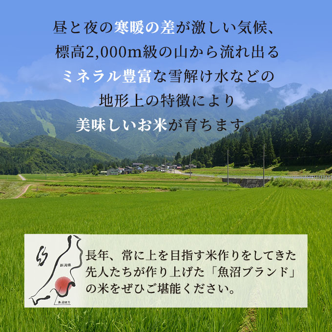 新潟県魚沼市のふるさと納税 令和6年産 無洗米 お米マイスター厳選 魚沼産 コシヒカリ 100％ 3kg ( 米 お米 こめ コメ おこめ 白米 こしひかり ) 新潟県