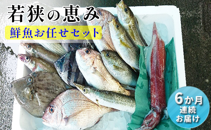 y䌧ዷzNZbg  6 ዷ̌b N{bNX ނ͂C   Zbg lߍ킹   CN CNZbg 6 N y  䌧 ዷ