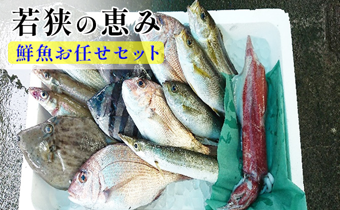 y䌧ዷzNZbg ዷ̌b N{bNX ނ͂C Zbg lߍ킹 N     CN CNZbg {̋ VN  䌧 ዷ