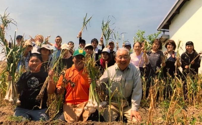 はりま王にんにく加工品セット（熟成黒にんにく・にんにくオイル漬け・にんにく醤油漬け） 野菜 薬味 ニンニク 