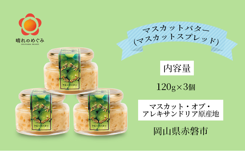 マスカット バター （ マスカット スプレッド ）120g×3個 乳製品 果物 ぶどう フルーツ 果物類 マスカットバター 