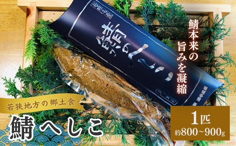 y䌧ዷzዷY IւifЁj1{@800`900gO L HHi y 