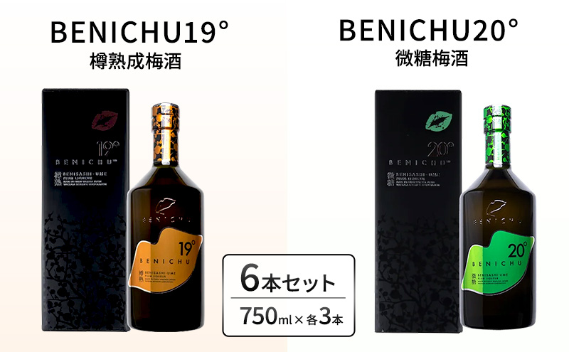 y䌧ዷzMn~Ɣ~ABENICHU19°20°26{ݔ׃Zbgi750mlj  m L[