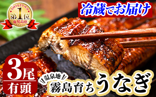 鹿児島県霧島市のふるさと納税 B-128-RZ ＜冷蔵でお届け＞霧島市育ちのあの「うなぎ」150～170g×3尾【田代水産】霧島市 鰻 蒲焼 国産