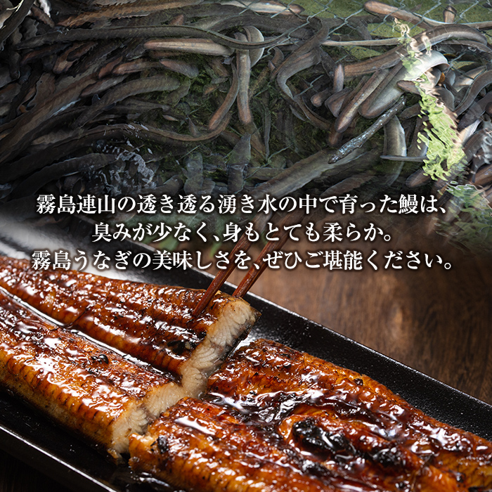 鹿児島県霧島市のふるさと納税 B-128-RZ ＜冷蔵でお届け＞霧島市育ちのあの「うなぎ」150～170g×3尾【田代水産】霧島市 鰻 蒲焼 国産