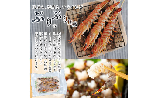 鹿児島県霧島市のふるさと納税 B-014 活き〆冷凍車海老「薩摩隼人車海老」合計約375g(約125g×3パック)【MBC開発】