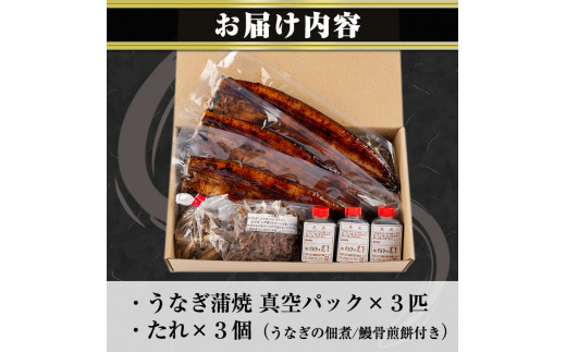 鹿児島県霧島市のふるさと納税 D-037 鹿児島産うなぎ蒲焼セット【うなぎの尾方】