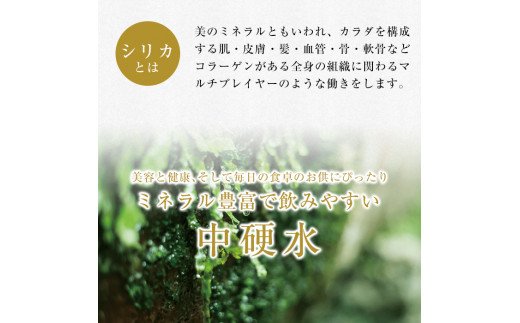 鹿児島県霧島市のふるさと納税 A-031 関平鉱泉水（ペットボトル）500ml×24本！美容と健康のミネラル成分シリカが豊富なミネラルウォーター【関平鉱泉所】霧島市 シリカ水