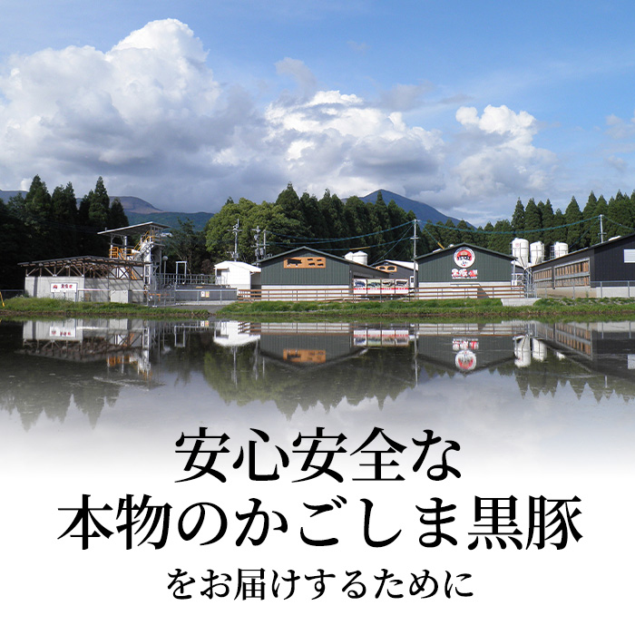 鹿児島県霧島市のふるさと納税 C-011 霧島高原純粋黒豚特選しゃぶしゃぶ1kgとソーセージ・ひとくち餃子セット【霧島高原ロイヤルポーク】霧島市 しゃぶしゃぶ 黒豚 しゃぶしゃぶ肉 豚 豚肉 しゃぶしゃぶセット 詰め合わせ 霧島市 国産 豚肉 ぎょうざ ウインナー ウィンナー