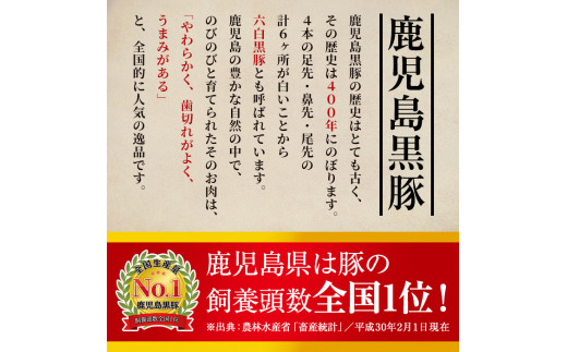 鹿児島県霧島市のふるさと納税 A-159 鹿児島県産！鹿児島黒豚のしゃぶしゃぶ鍋セット【九面屋】