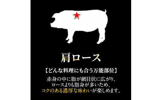 鹿児島県霧島市のふるさと納税 A-159 鹿児島県産！鹿児島黒豚のしゃぶしゃぶ鍋セット【九面屋】