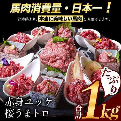 熊本県御船町のふるさと納税 赤身ユッケ桜うまトロセット 計1kg 1000g ユッケ 桜うまトロ(ネギトロ) 千興ファーム 馬肉 冷凍 《60日以内に出荷予定(土日祝除く)》 新鮮 さばきたて 真空パック 肉 熊本県御船町 馬刺し おつまみ