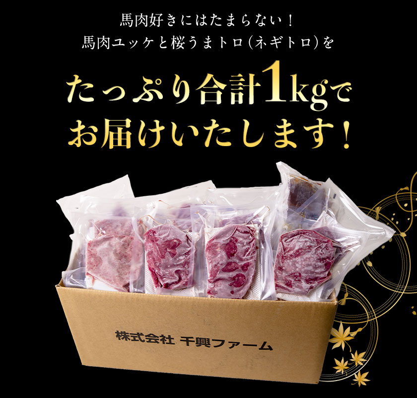 熊本県御船町のふるさと納税 赤身ユッケ桜うまトロセット 計1kg 1000g ユッケ 桜うまトロ(ネギトロ) 千興ファーム 馬肉 冷凍 《60日以内に出荷予定(土日祝除く)》 新鮮 さばきたて 真空パック 肉 熊本県御船町 馬刺し おつまみ