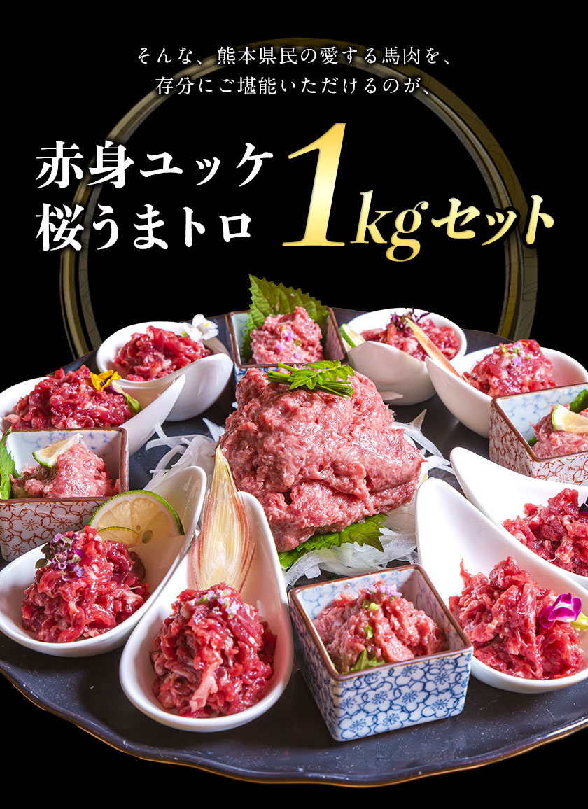 熊本県御船町のふるさと納税 赤身ユッケ桜うまトロセット 計1kg 1000g ユッケ 桜うまトロ(ネギトロ) 千興ファーム 馬肉 冷凍 《60日以内に出荷予定(土日祝除く)》 新鮮 さばきたて 真空パック 肉 熊本県御船町 馬刺し おつまみ