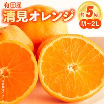 ZN6001n_【2026年先行予約】和歌山県有田産 完熟 清見オレンジ 5kg ひとつひとつ丁寧に厳選！生産者から直送【清見 みかん オレンジ タンゴール きよみ 柑橘 和歌山 有田】