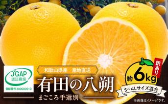 ZE6167n_【2026年先行予約】有田の八朔 (はっさく)【訳あり　家庭用】6kg　(S～4Lサイズ混合)　まごころ手選別