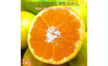 G7097_【2025年先行予約】紀州和歌山有田産 ゆら早生みかん 5kg【ミカン 蜜柑 柑橘 温州みかん わせみかん】