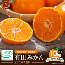 ZE6333n_【2025年先行予約】和歌山有田みかん10kg　2L～4Lサイズ混合 
