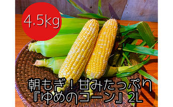 【2025年8月下旬から発送】農家直送！朝もぎスイートコーン『ゆめのコーン』2L 10～12本（4.5kg） 野菜 とうもろこし フルーツコーン 