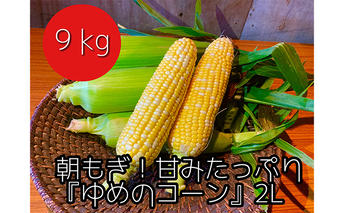 【2025年8月下旬頃から発送】農家直送！朝もぎスイートコーン『ゆめのコーン』2L 20～22本（9kg） 野菜 とうもろこし 旬の野菜 
