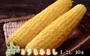上富良野産とうもろこし（イエロー種）L-2L 10本 野菜 北海道産 