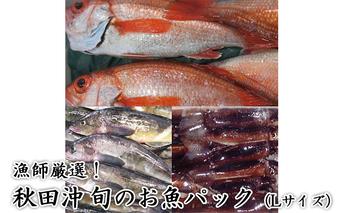 にかほ市の漁師厳選！秋田沖の旬のお魚パック！（Lサイズ・3～4人前） 魚介類 直送 新鮮 詰め合わせ 