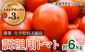 安心トマト　訳あり調理用　約6kg 野菜 