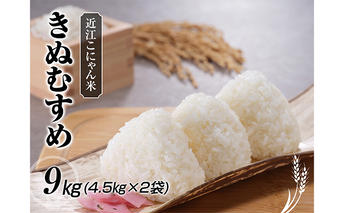 近江こにゃん米「きぬむすめ」9kg（4.5kg×2） 米/きぬむすめ 