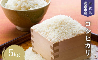 【先行予約受付中】令和7年産 滋賀県産 米 こしひかり 5kg