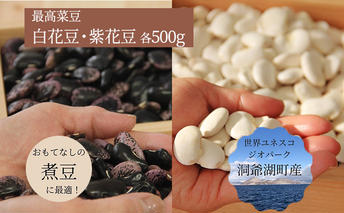 北海道 洞爺湖町産 高級菜豆 2種 白花豆 500g 紫花豆 500g 計1kg 12月中旬よりお届け 花豆 豆 マメ まめ 大粒 甘い 北海道産 国産 煮豆 スープ 煮込み料理 常温 お取り寄せ 送料無料 【 洞爺湖町 】