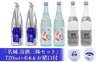 「名城 冷酒三昧セット」720ml×6本＆お猪口付 日本酒 お酒 アルコール 大吟醸 