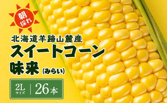 【 2025年発送 】先行予約 北海道 スイートコーン 味来 約10kg 2Lサイズ 計26本 とうもろこし とうきび コーン 新鮮 採れたて 産直 JAようてい