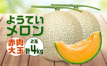 【 2025年発送 】先行予約 北海道 赤肉メロン 大玉 約2kg 2玉 メロン 赤肉 果物 フルーツ 甘い 完熟 スイーツ デザート 産直 国産 贈答品 お祝いギフト羊蹄山 JAようてい