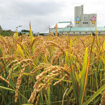【先行予約】令和7年産 特Aランク米 ゆめぴりか 精米 2kg（2kg×1袋）雪冷気 籾貯蔵 北海道 雪中米