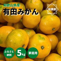 BL6111n_【2025年先行予約】【訳あり】和歌山県産 有田みかん 5kg