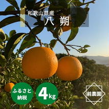 BL6113n_【2026年先行予約】【産地直送】和歌山県産 八朔 4kg (M～3Lサイズ)【はっさく ハッサク 八朔 和歌山産 柑橘 和歌山 有田】