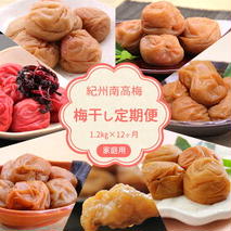 BL6151_定期便 紀州南高梅 7種の風味 1.2kg × 12ヶ月 ご家庭用 梅 桃風味 桃果汁 しそ風味 こんぶ風味 まろやか 優梅 低塩 白干梅干 うす味 はちみつ入り フルーティー 紀州伝統 ご飯のお供 お弁当 おかず 料理 和歌山県 湯浅町 お取り寄せ 送料無料 
