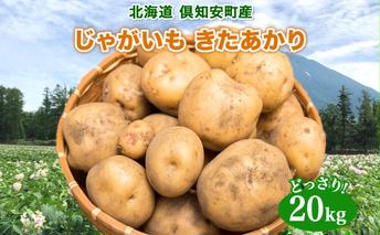 北海道産 じゃがいも きたあかり 約20kg 芋 ジャガイモ いも 自然 旬 新鮮 野菜 直送 常温 農作物 お取り寄せ 野菜 ポテト 農作物 お取り寄せ 送料無料 縁樹 北海道 倶知安町 根菜 