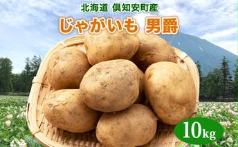 北海道産 じゃがいも 男爵 約10kg じゃが芋 ジャガイモ 芋 いも 男爵いも だんしゃく ポテト 新鮮 野菜 直送 常温 農作物 お取り寄せ 送料無料 縁樹 北海道 倶知安町 根菜 