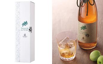 Tatsuriki for WAKO　梅【お届け：10月～5月/常温】 お酒 日本酒 うめ酒 ウメ酒 果実酒 アルコール 晩酌 飲み会 宅飲み 