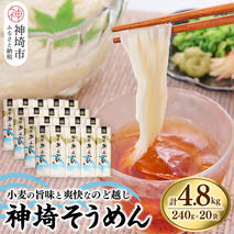 神埼そうめん(240g×20袋) 【そうめん 麺 神埼 めん 素麺 佐賀特産品 かんざき 九州 佐賀 ギフト 贈答用 名産品】(H020101)
