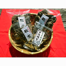 せふり特選椎茸セット 【せふり 干ししいたけ 原木】(H044122)